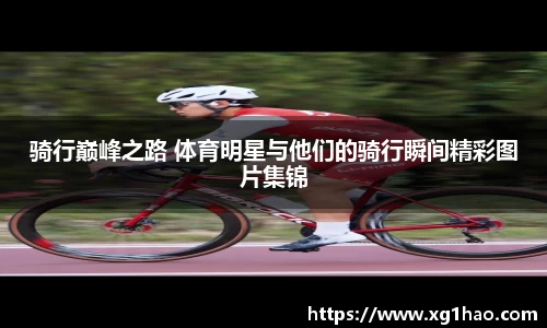 博鱼官方网站