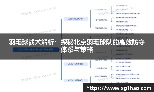 羽毛球战术解析：探秘北京羽毛球队的高效防守体系与策略