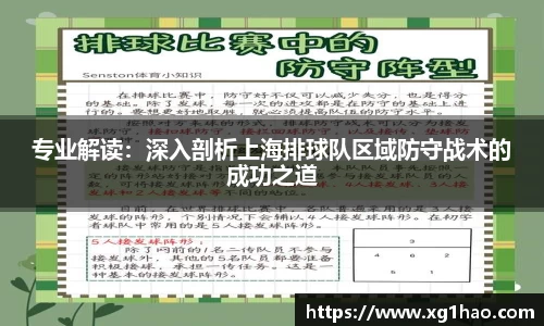专业解读：深入剖析上海排球队区域防守战术的成功之道