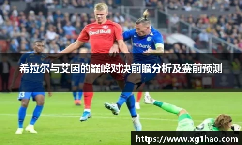 希拉尔与艾因的巅峰对决前瞻分析及赛前预测