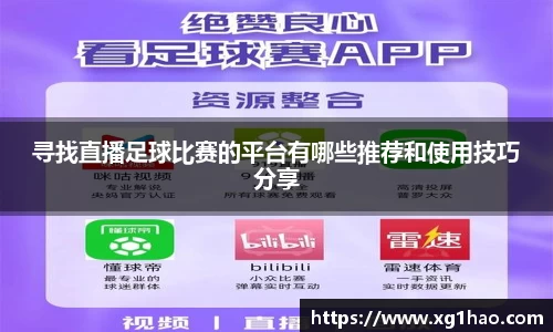 寻找直播足球比赛的平台有哪些推荐和使用技巧分享